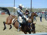 200-rodeo.jpg (7668 bytes)