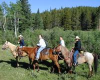 200-horseback.jpg (9573 bytes)