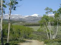 200-scenery-3.jpg (7010 bytes)